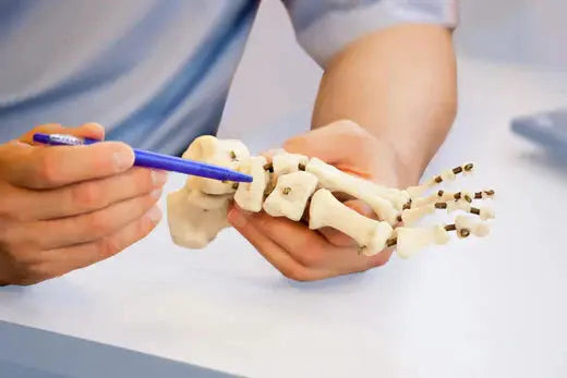 10 Essential Foot Facts Everyone Should Know DrLuigi