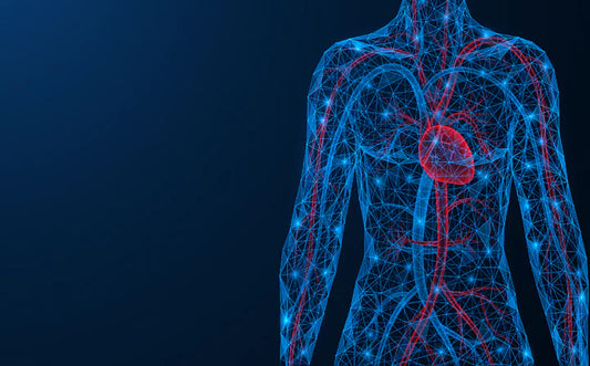 How Your feet and heart are connected?