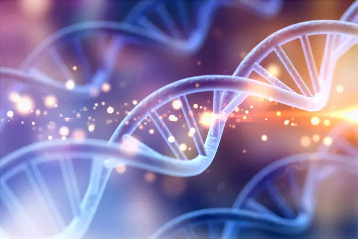 Stepping into the Genetics of Foot Health: Understanding the Link between Inherited Factors and Foot Problems DrLuigi