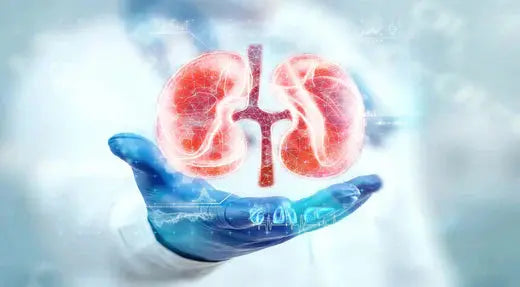 Understanding the Kidney-Foot Connection: Importance and Implications DrLuigi