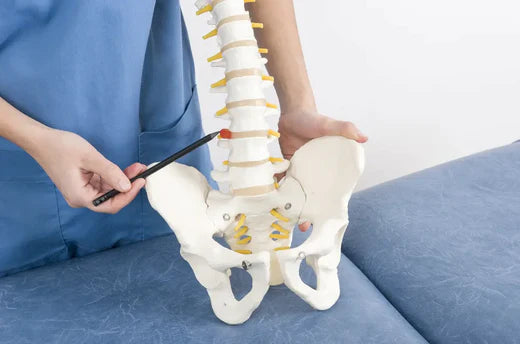 Herniated Discs: Causes, Symptoms, and Treatment