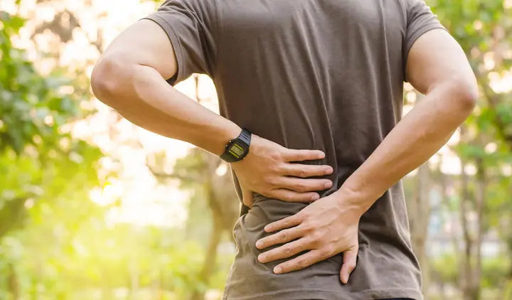What Causes Low Back Pain? DrLuigi