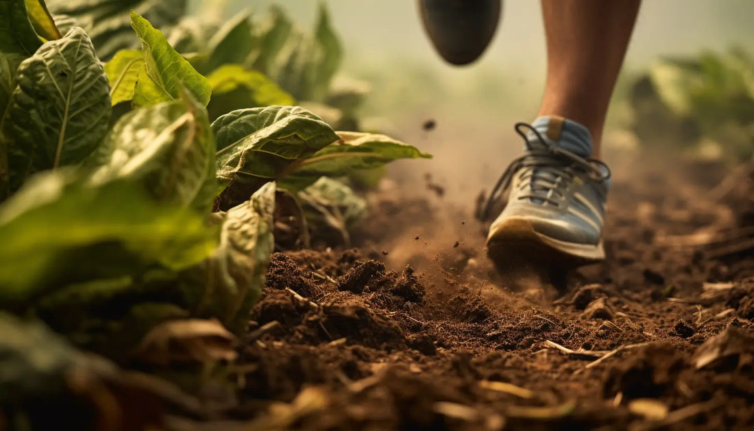 Dr. Luigi Reveals: The Shocking Impact of Tobacco on Your Legs DrLuigi